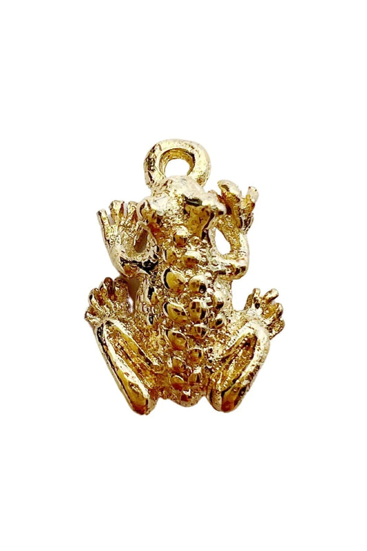 Frog Charm