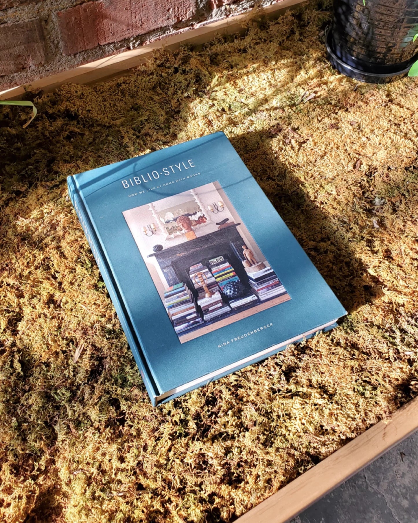 Biblio Style: How We Live at Home with Books