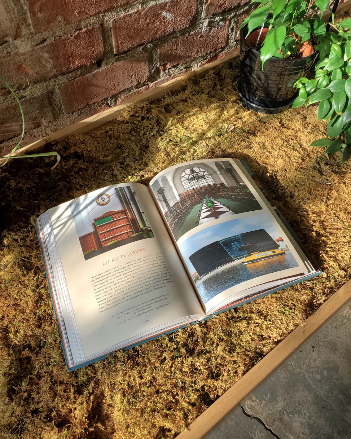 Biblio Style: How We Live at Home with Books