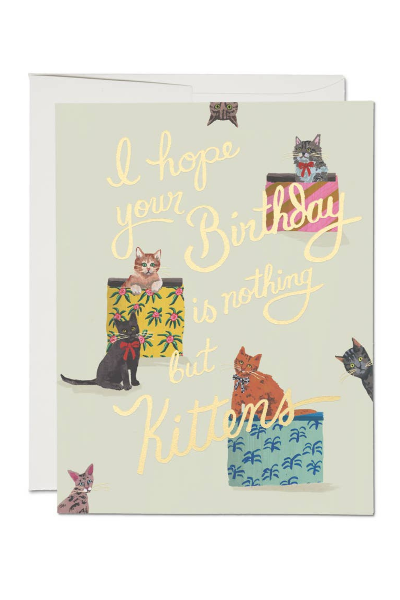 Nothing But Kittens Birthday Card