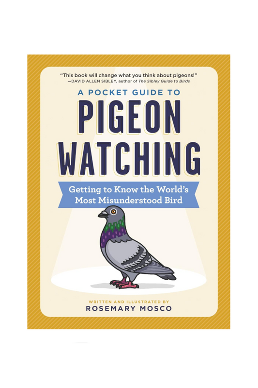 A Pocket Guide to Pigeon Watching: Getting to Know the World's Most Misunderstood Bird