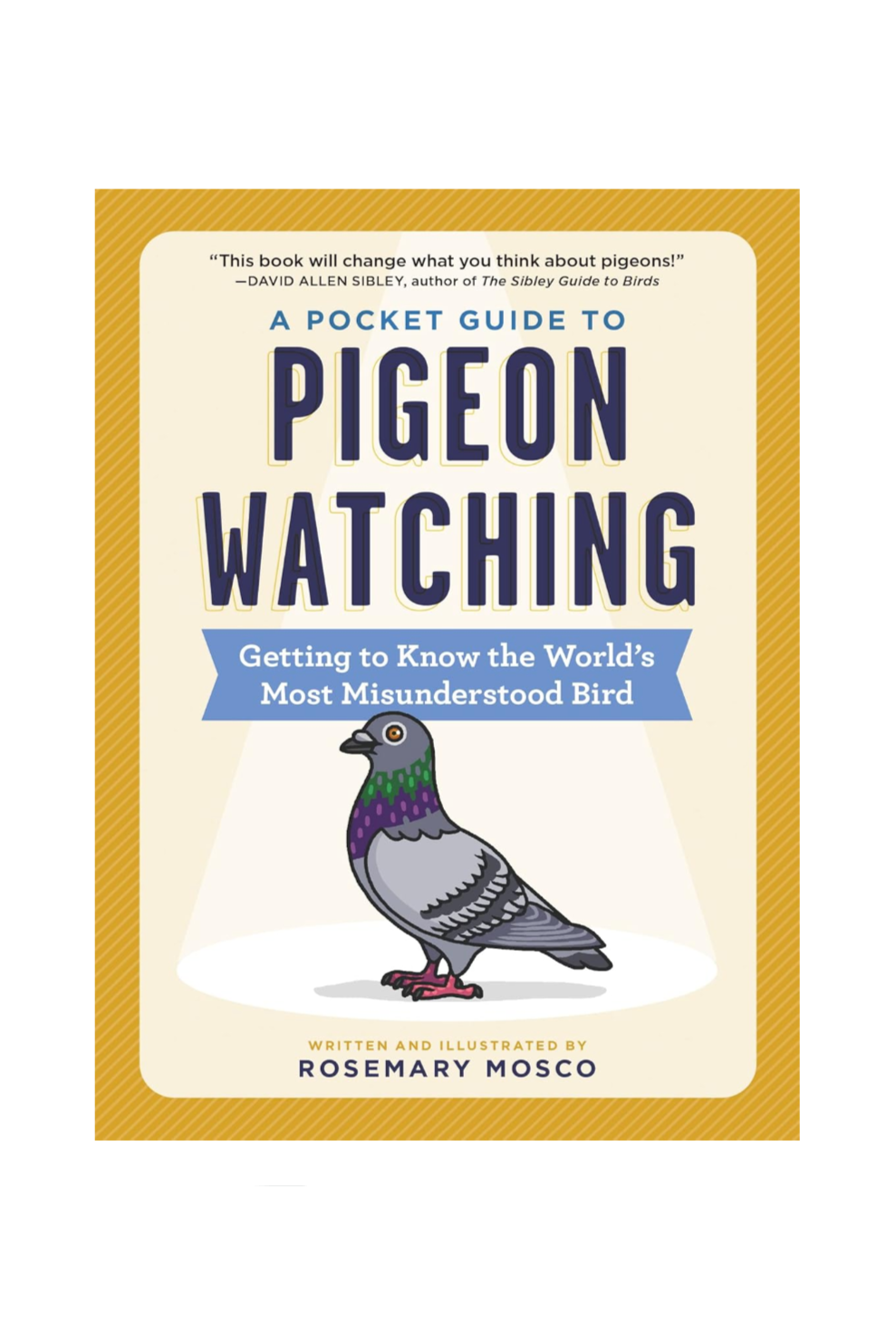 A Pocket Guide to Pigeon Watching: Getting to Know the World's Most Misunderstood Bird