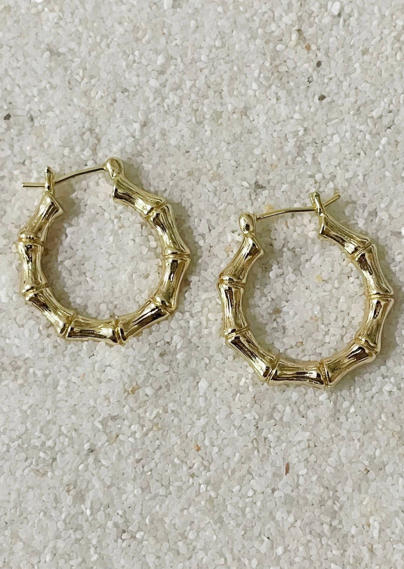Paradise Hoops