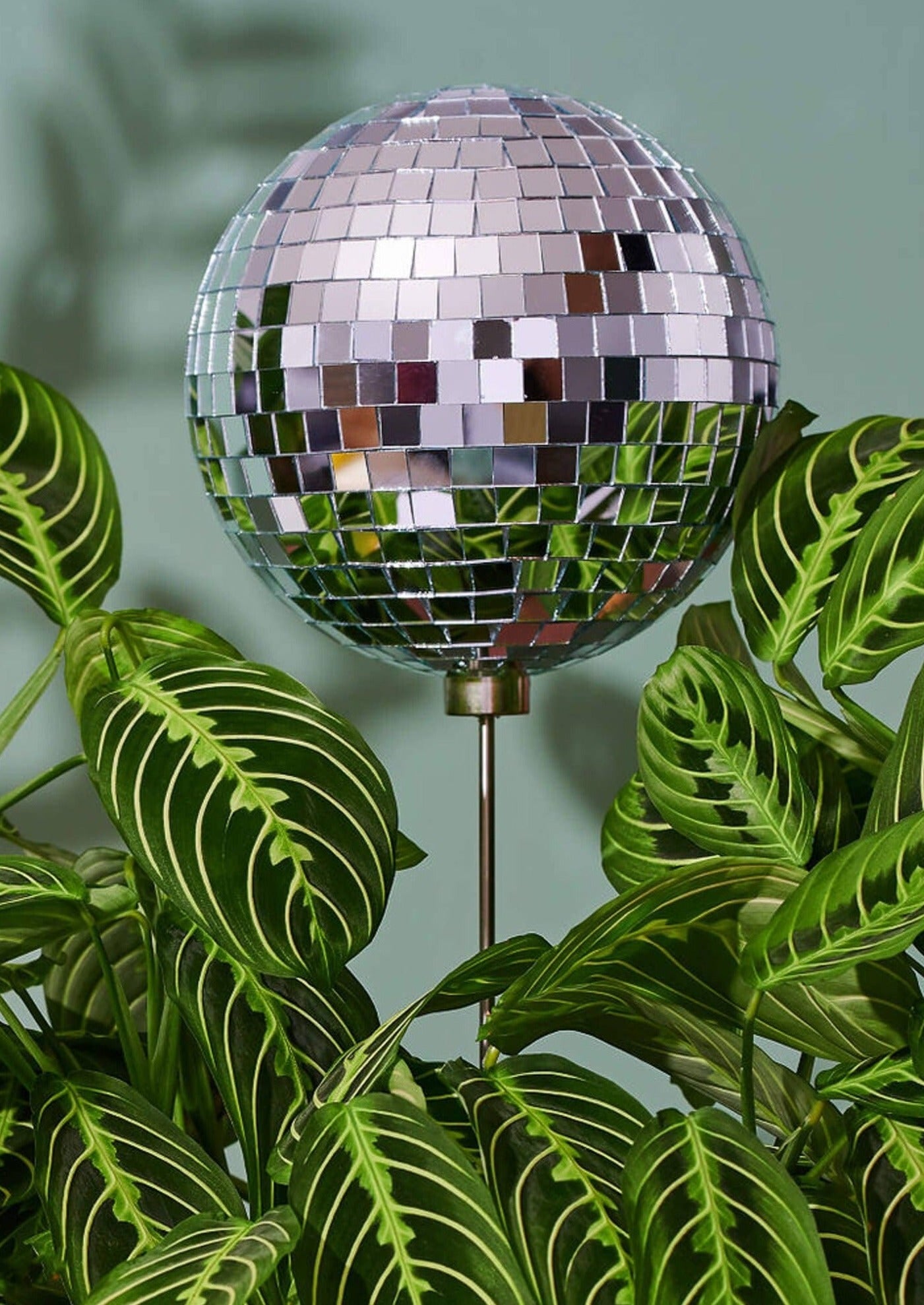 Disco Daddy Plant Stake