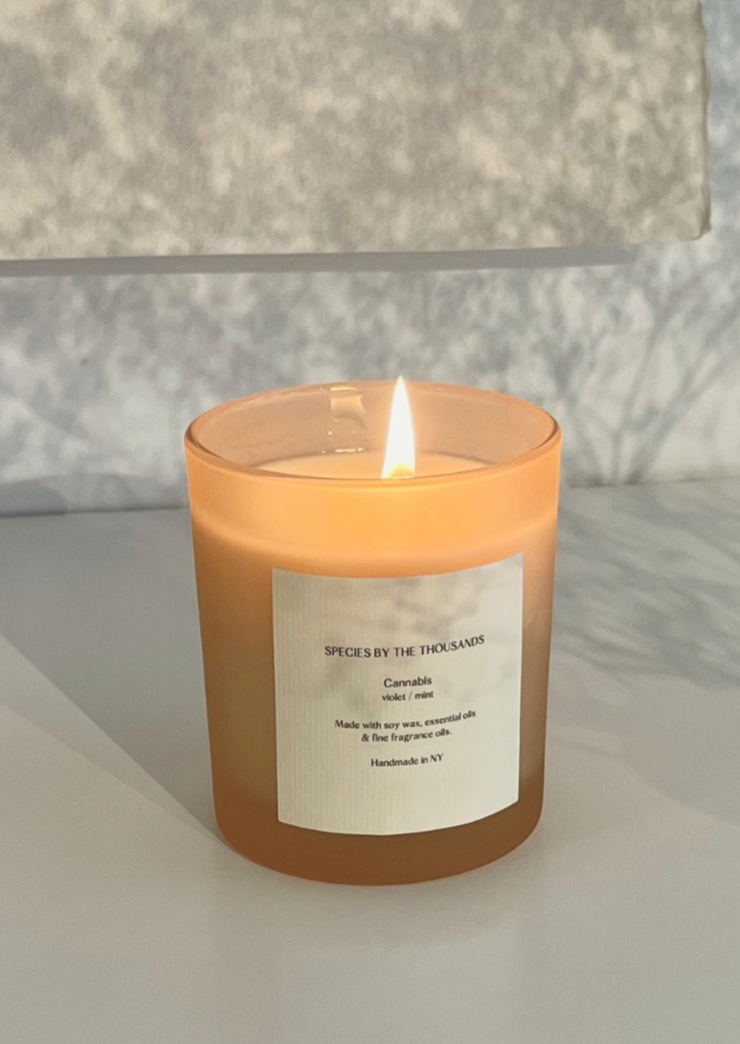 Cannabis, Violet + Mint Handcrafted Scented Soy Candle