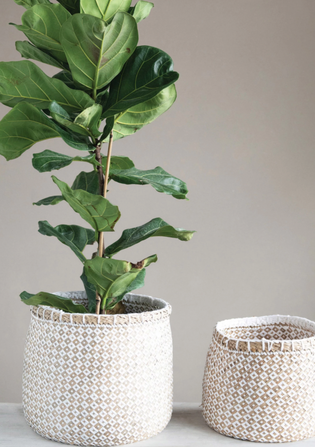 White Diamond Baskets