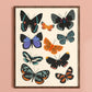 Butterfly Chart Art Print