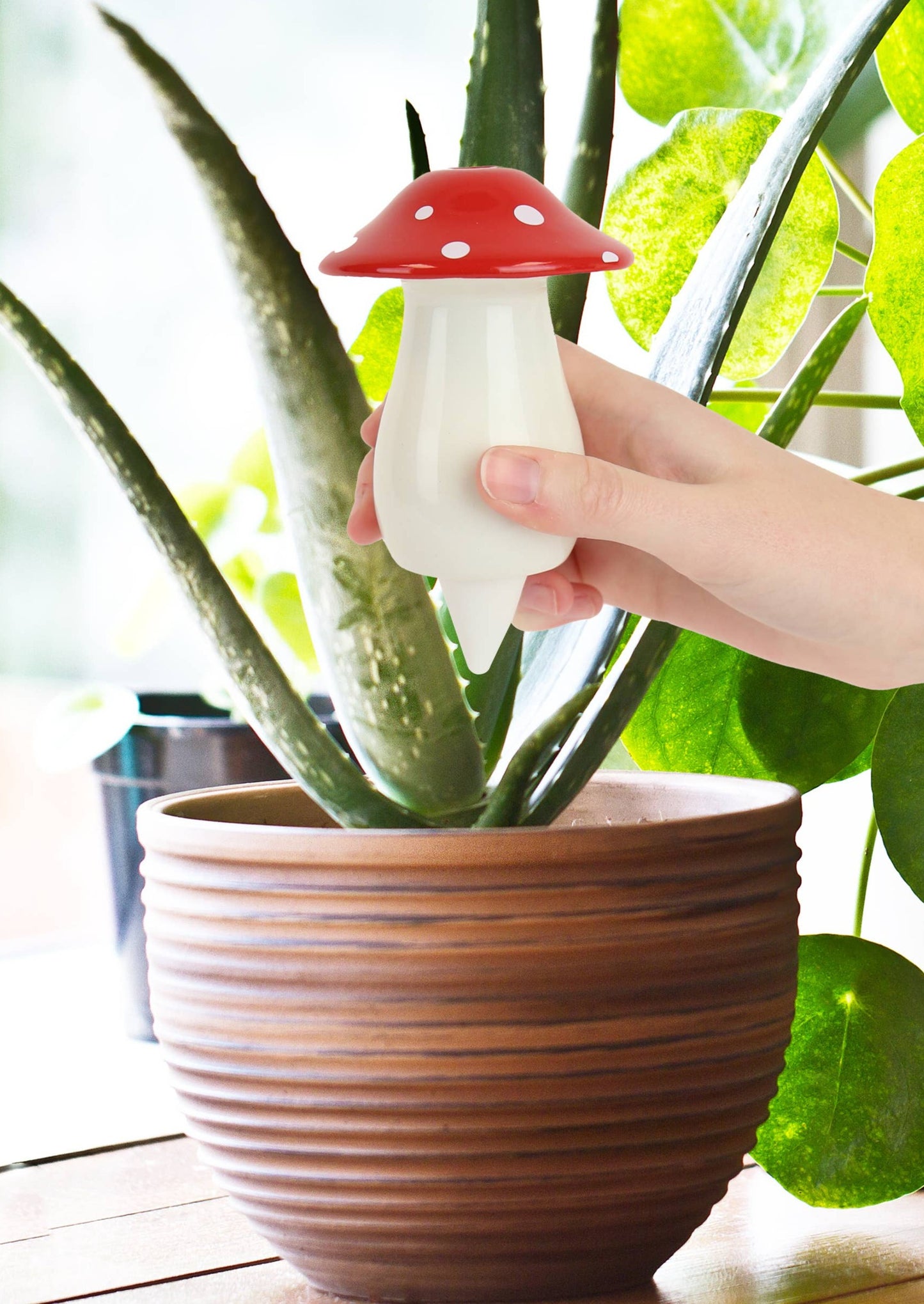 Self Watering Plant Dispenser | Mushroom