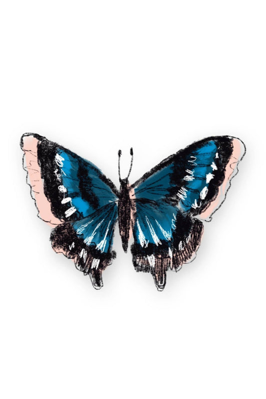 Butterfly Sticker