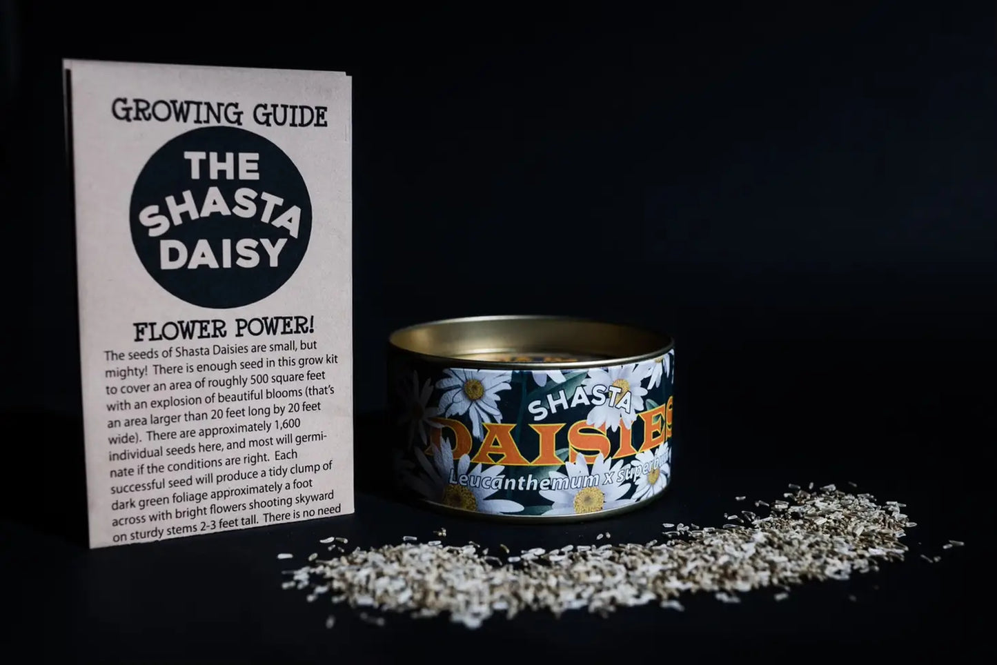 Shasta Daisy | Flower Seed Grow Kit