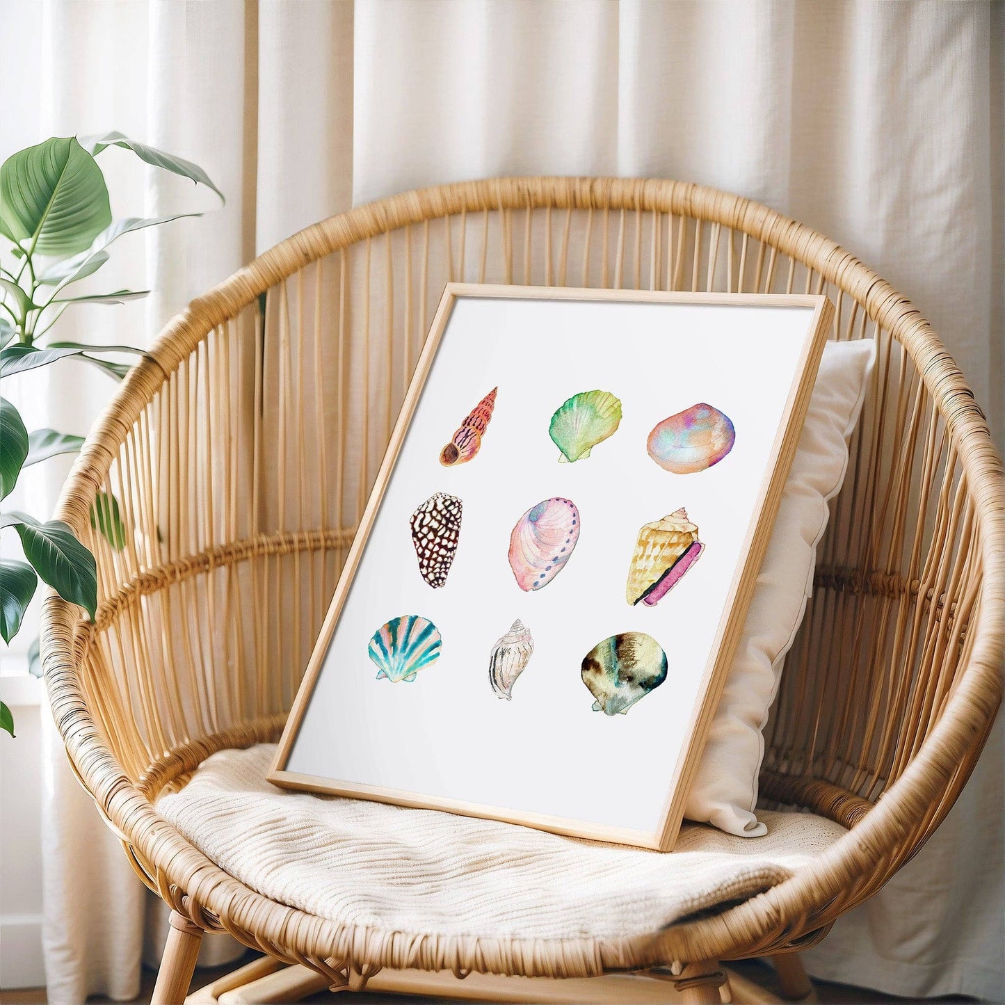 Shell Collection Print | 8 x 10