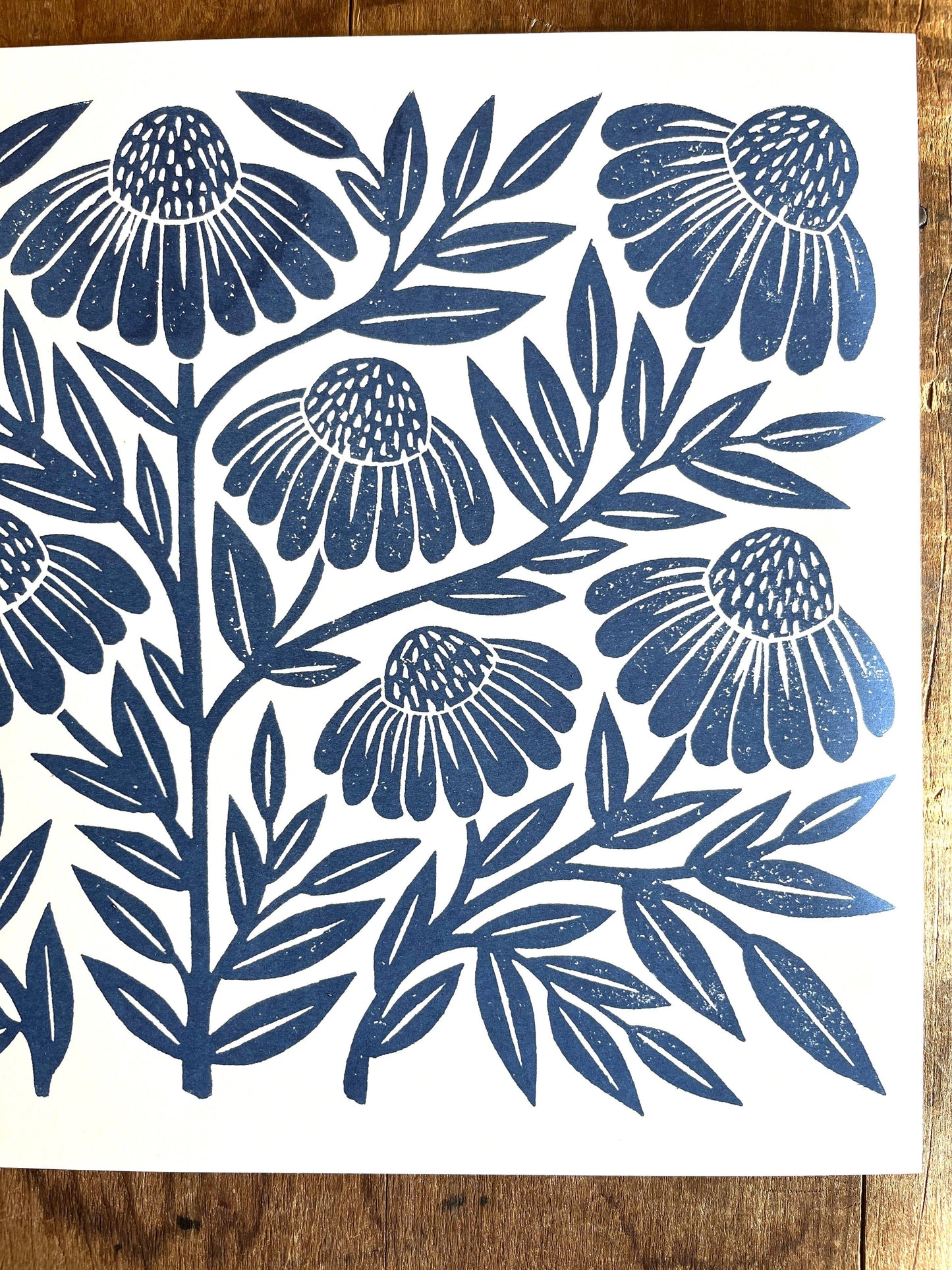 Garden Series Print | Navy Echinacea