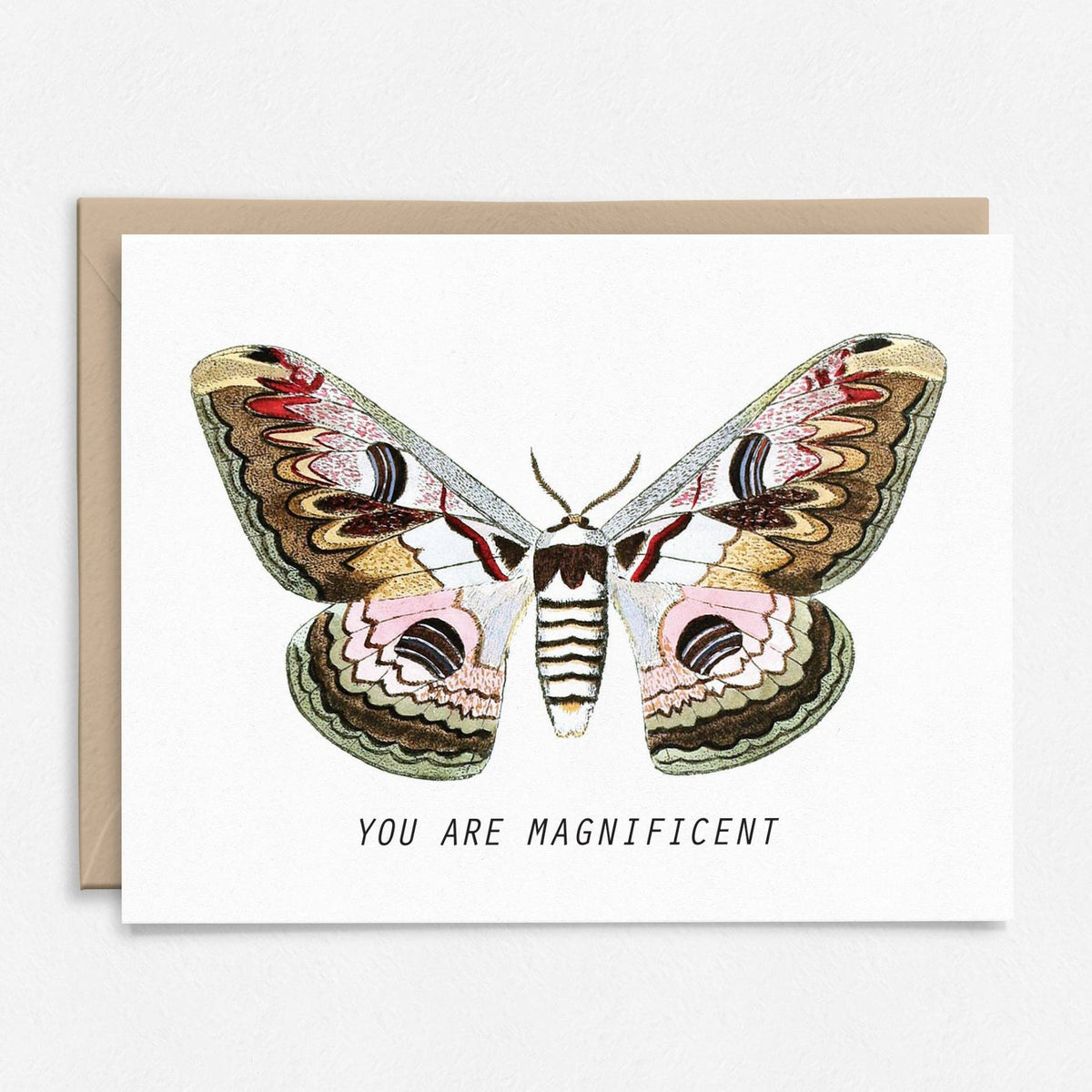 You Are Magnificent Moth Card