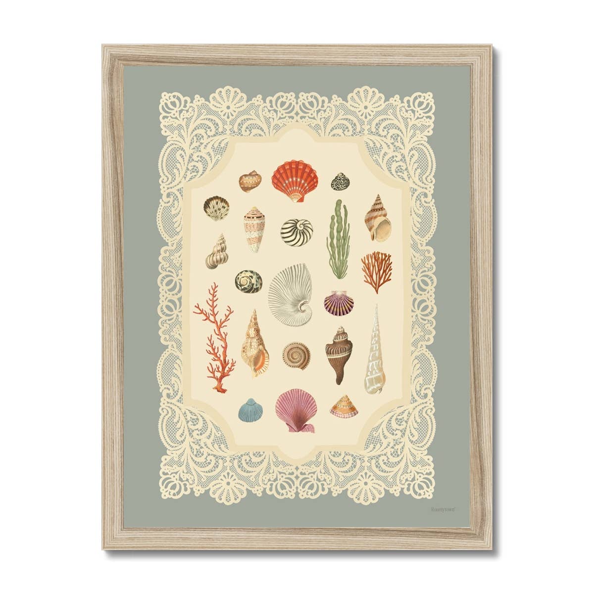 Specimens of the Sea Art Print | 11 x 14