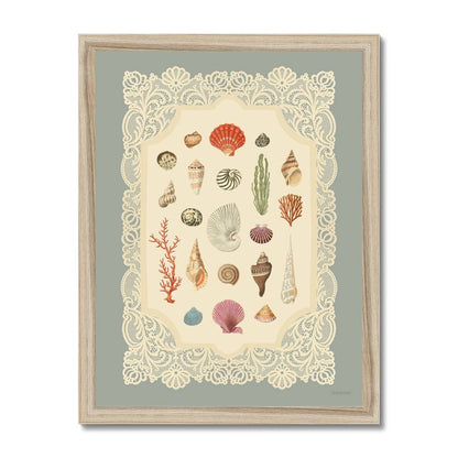 Specimens of the Sea Art Print | 11 x 14