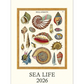 2026 Wall Calendar | Sea Life