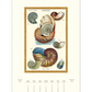 2026 Wall Calendar | Sea Life