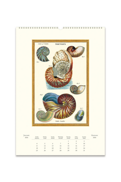 2026 Wall Calendar | Sea Life