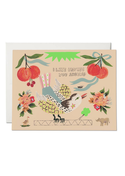 Bird and Fly Friendship Card