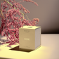 Nuri Candle