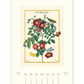 2026 Wall Calendar | Floreale