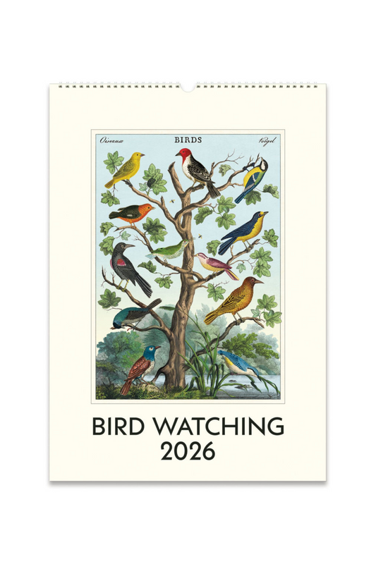2026 Wall Calendar | Bird Watching