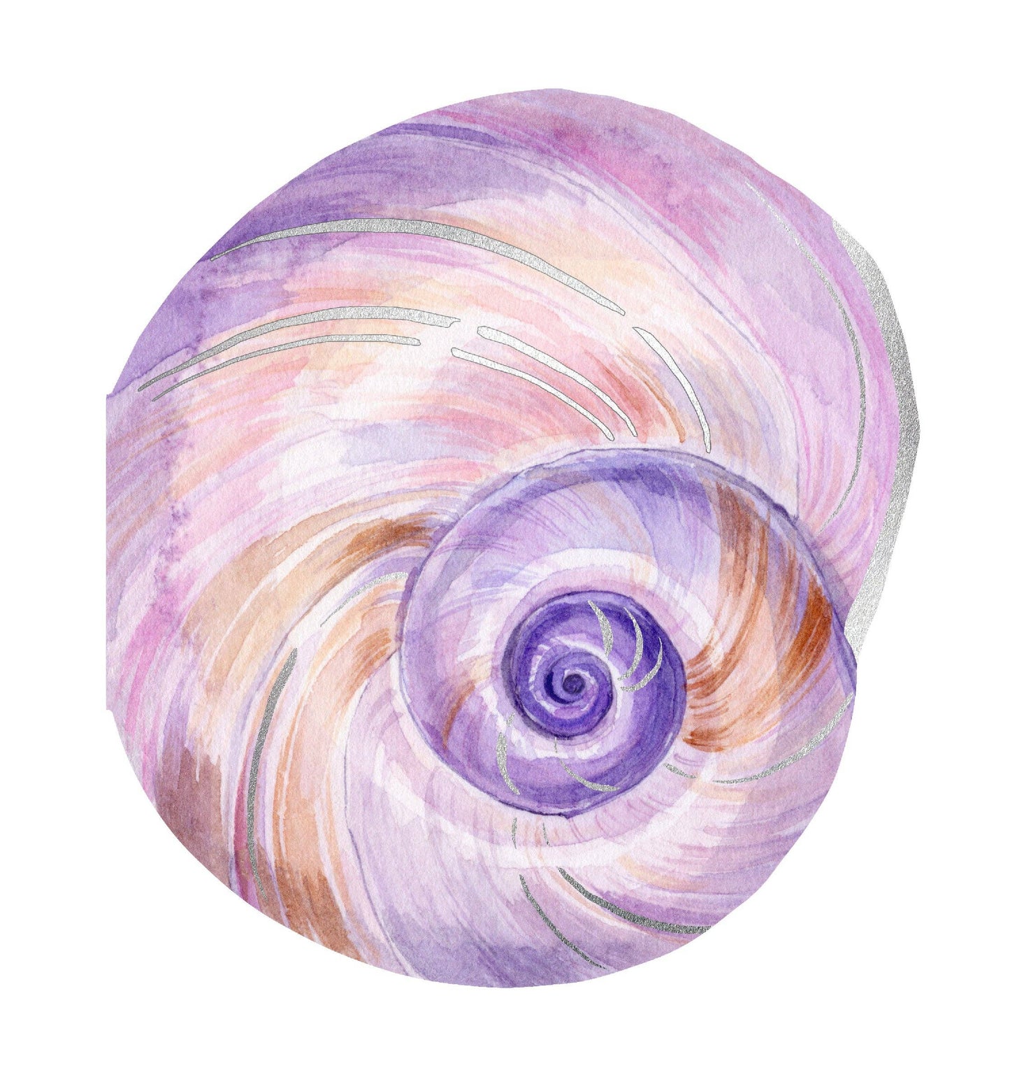 Shell Notes | 12 Cards + Envelopes