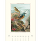 2026 Wall Calendar | Bird Watching
