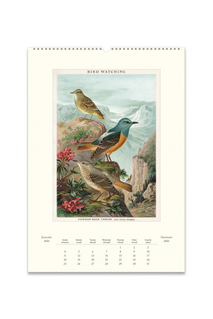 2026 Wall Calendar | Bird Watching