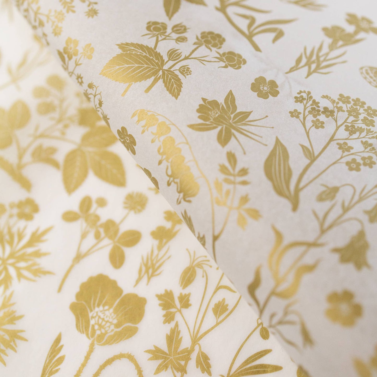Tissue Paper Pack | Gold Meadow