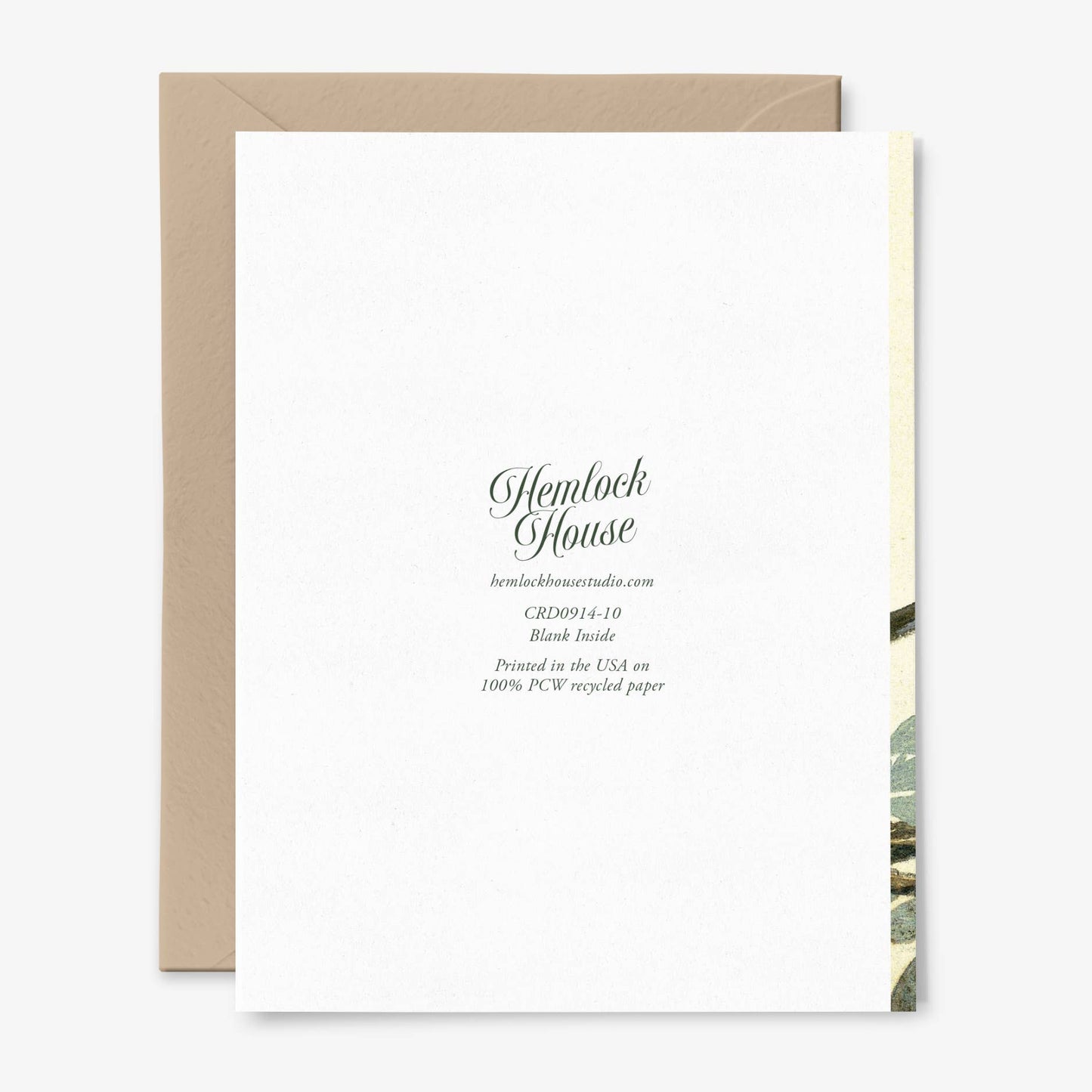 Bird Branch Card
