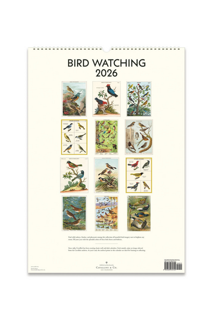 2026 Wall Calendar | Bird Watching