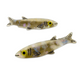 Sardine Alligator Hair Clip Set