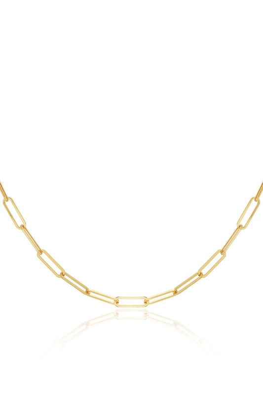 Gene Paperclip Chain Necklace