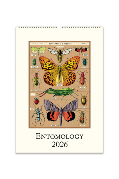 2026 Wall Calendar | Entomology