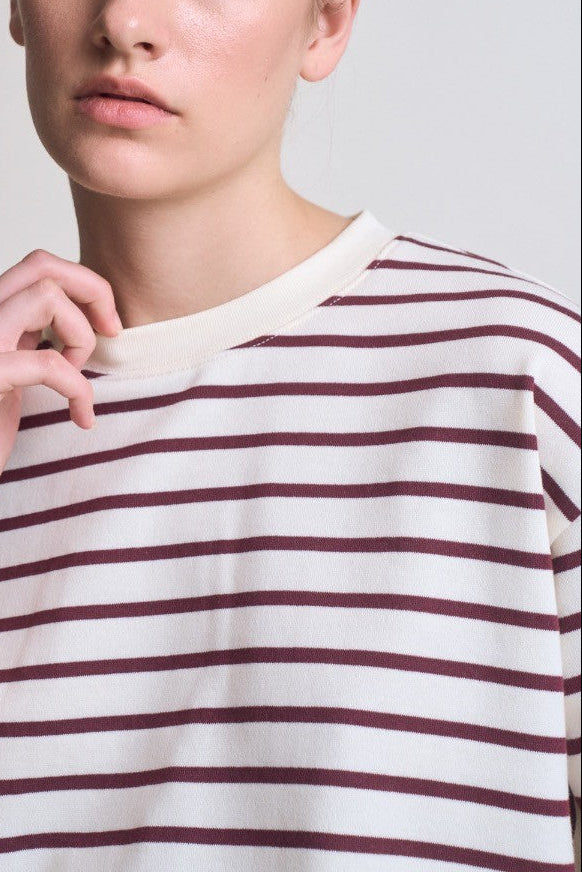 Cropped Stripe T-Shirt | Brick