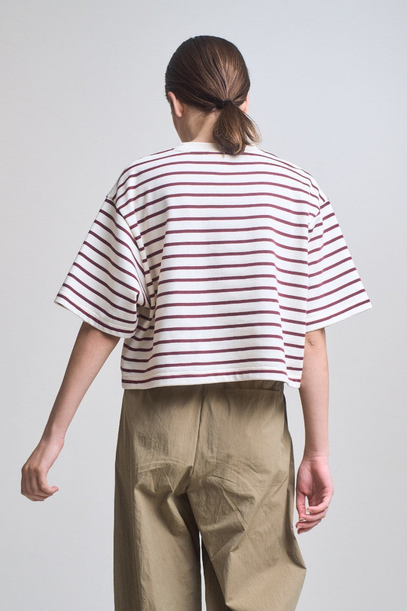 Cropped Stripe T-Shirt | Brick