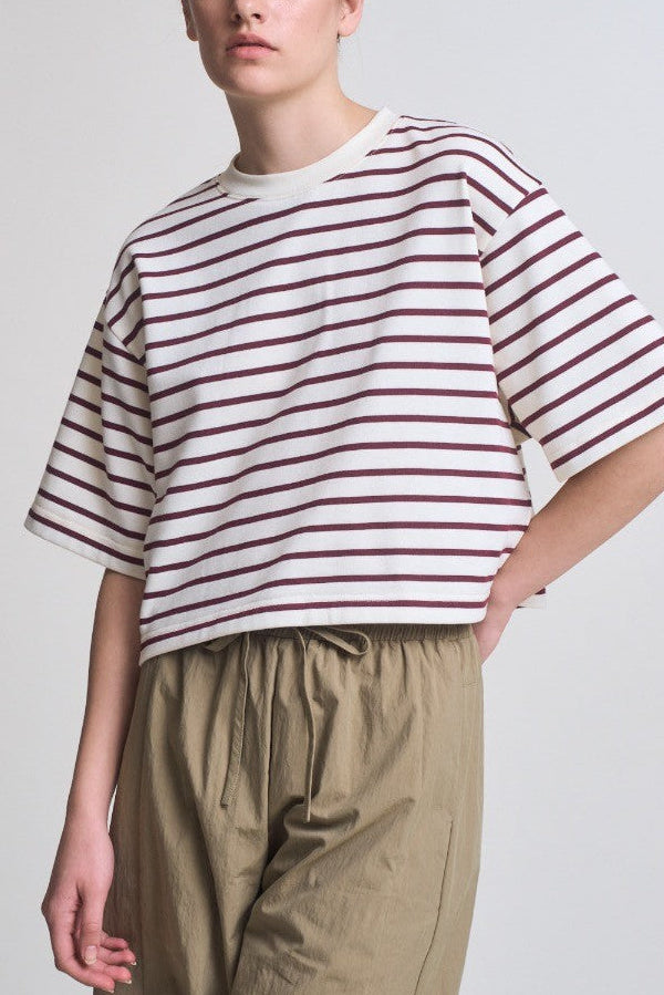 Cropped Stripe T-Shirt | Brick