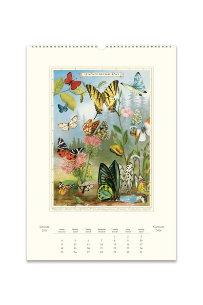2026 Wall Calendar | Entomology