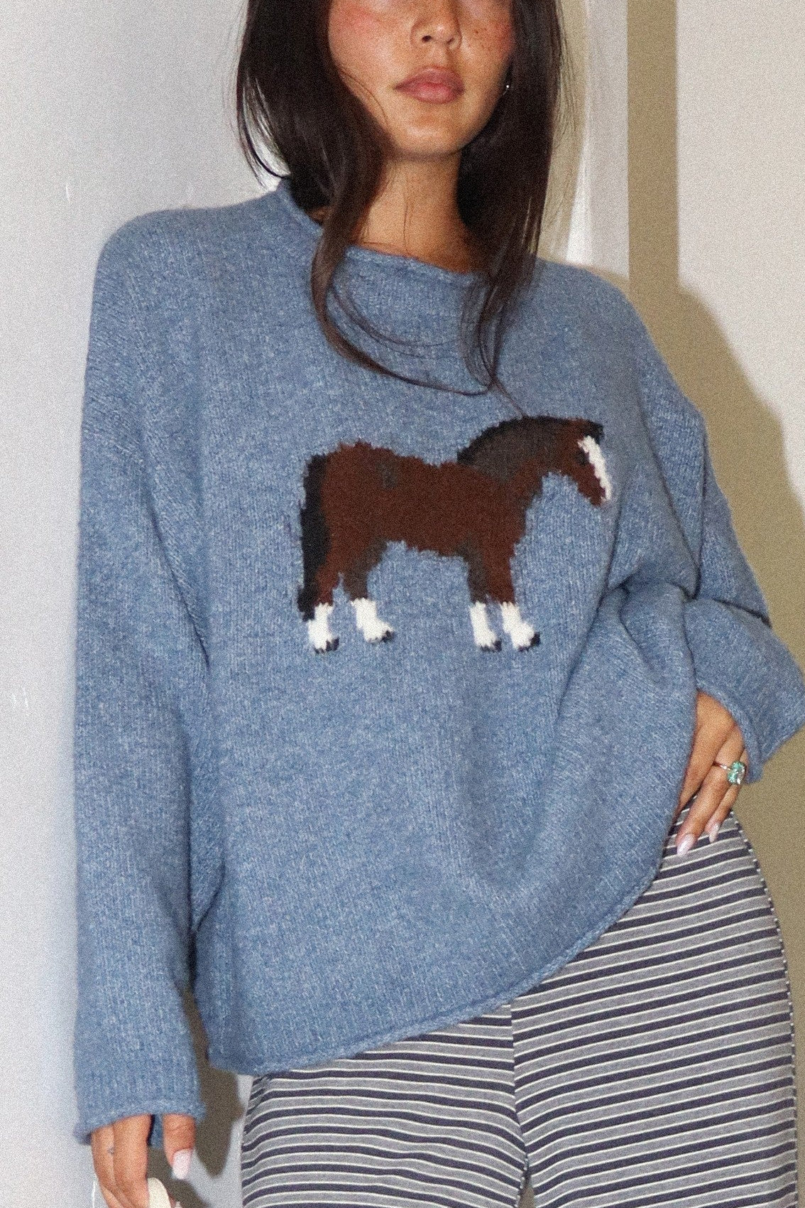 Horsin' Around Sweater