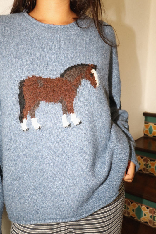 Horsin' Around Sweater