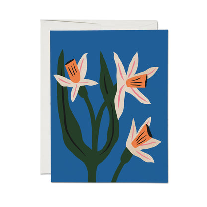 Blue Daffodils Blank Card