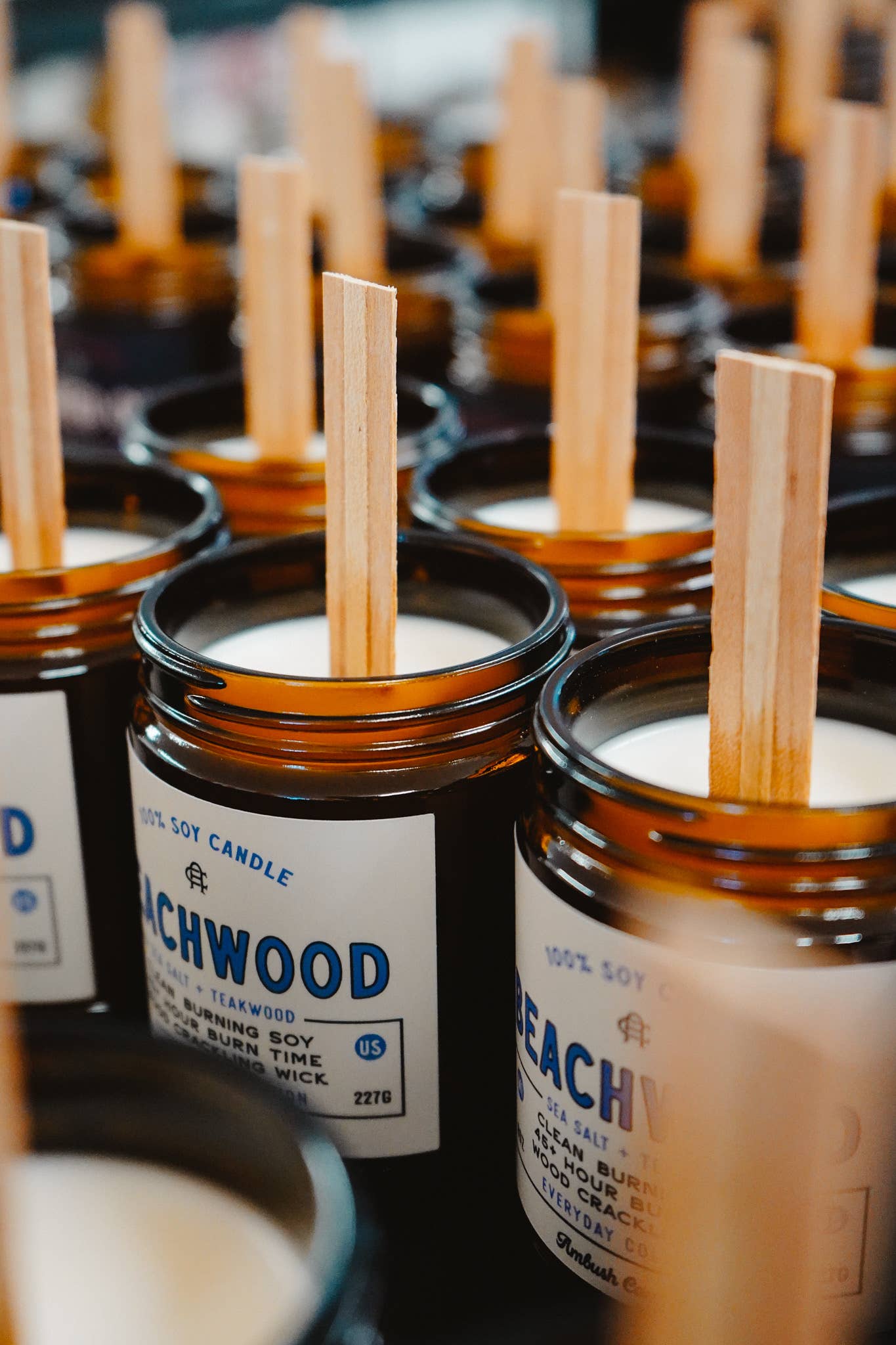 Beachwood | Sea Salt + Teakwood Candle