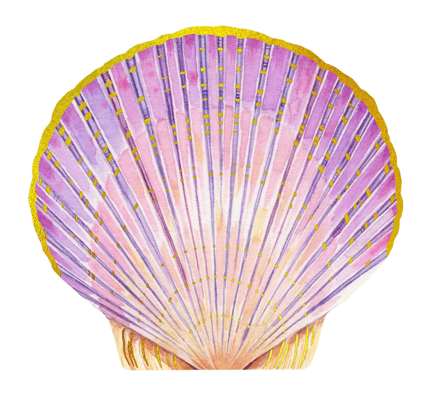 Shell Notes | 12 Cards + Envelopes