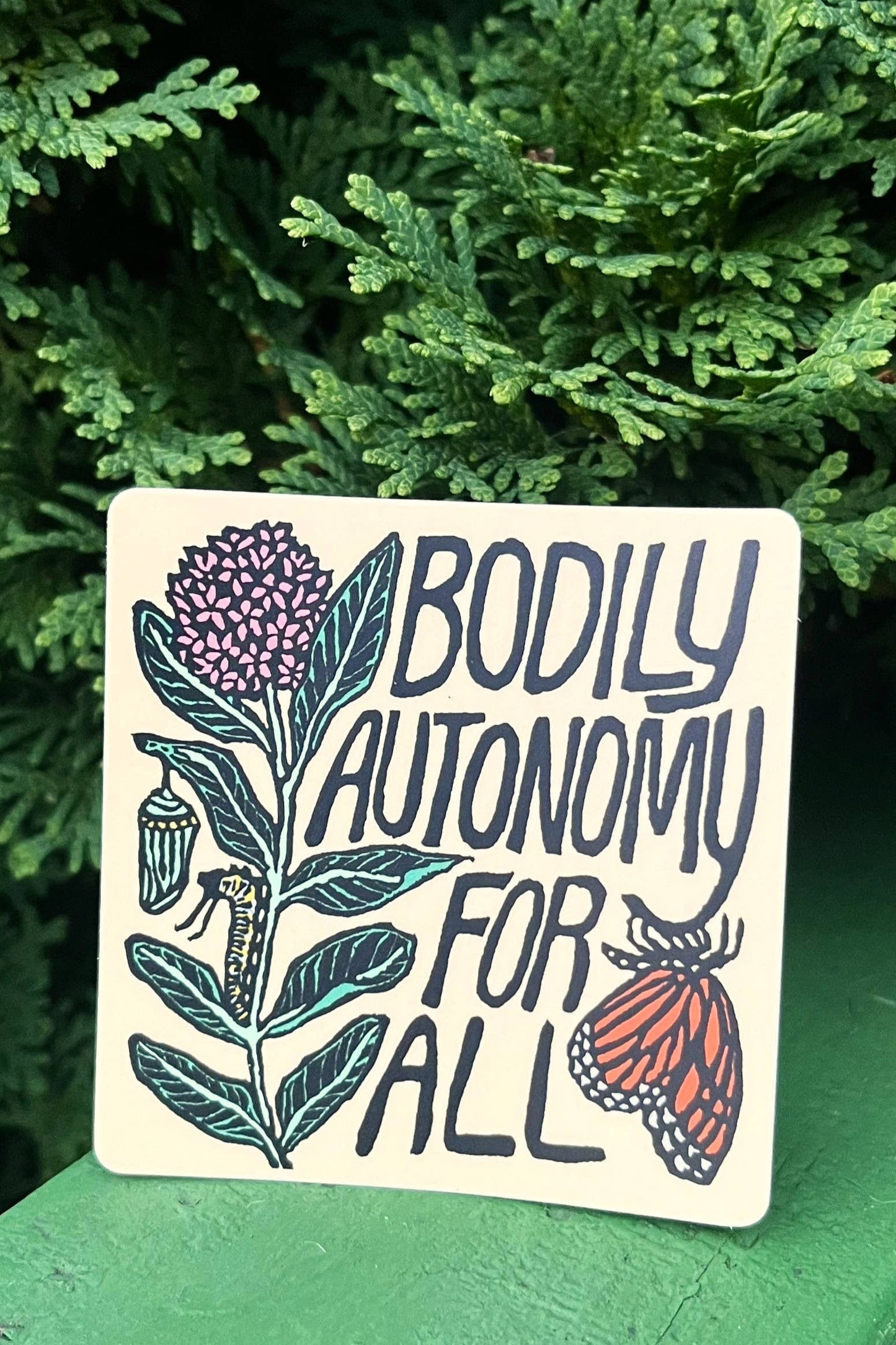 Bodily Autonomy For All Sticker