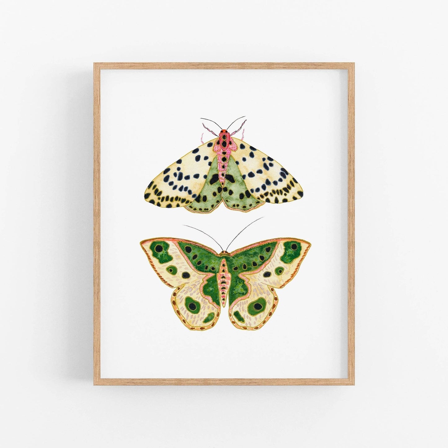 Moths No. 2 Print | 8 x 10