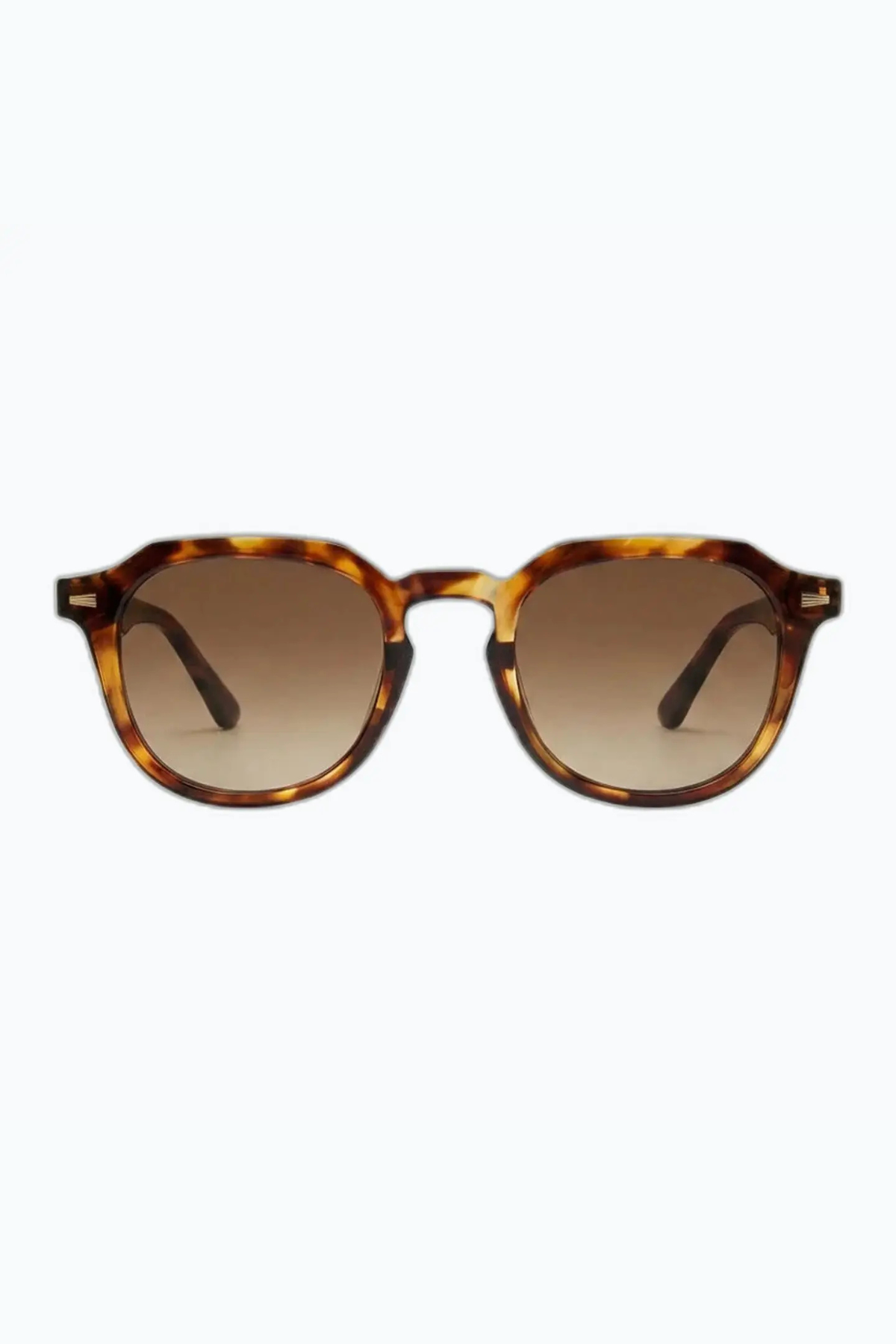 Reverie Sunnies | Tortoise