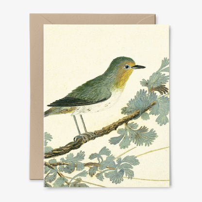 Bird Branch Card