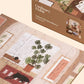 Herbarium | 100 Piece Puzzle