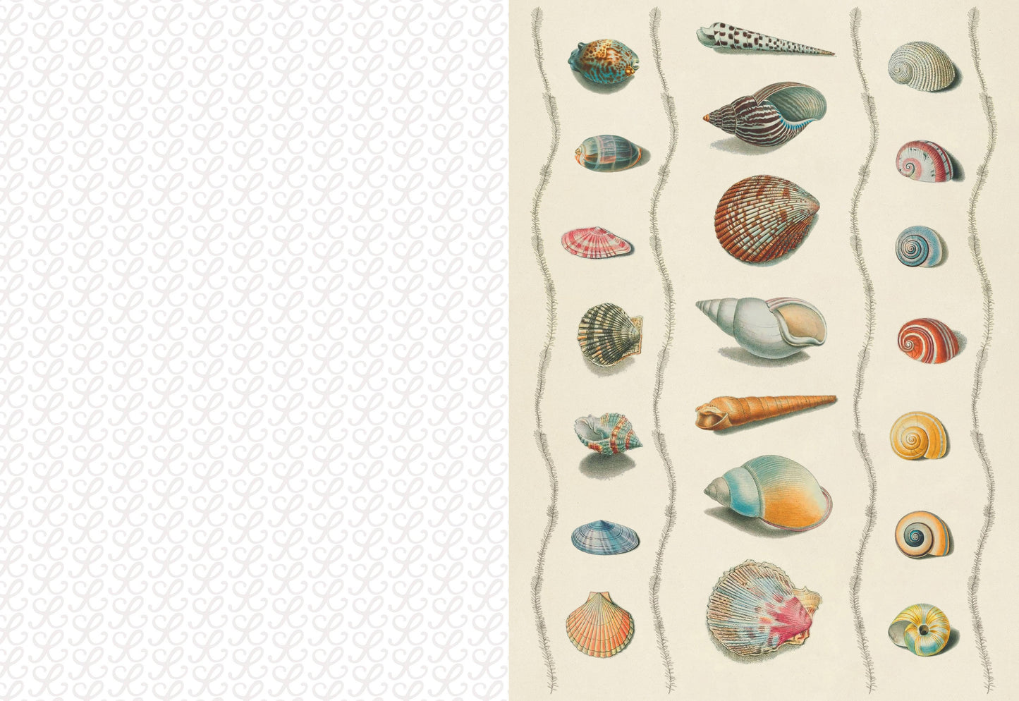 The Collage Compendium: 2,000 Images to Cut Out & Collage